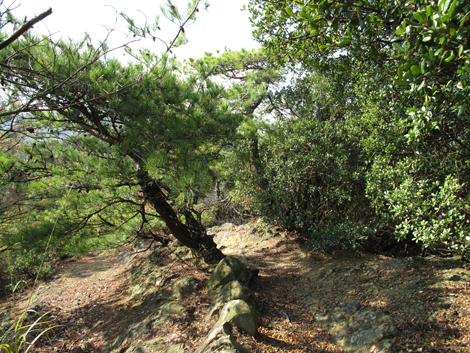 20131116hike (131)